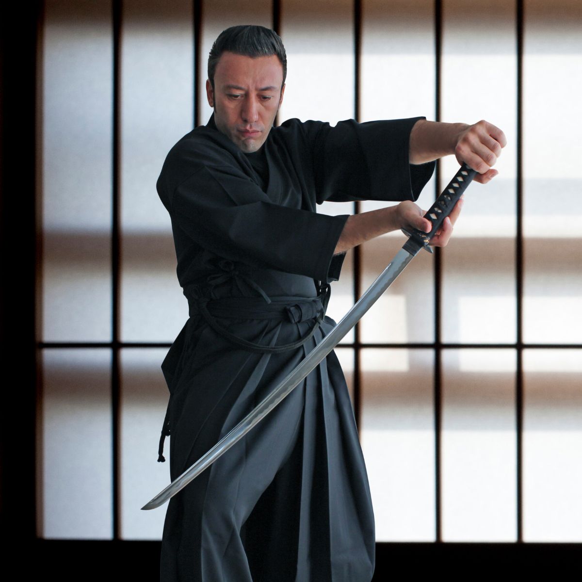 Iaido sword techniques