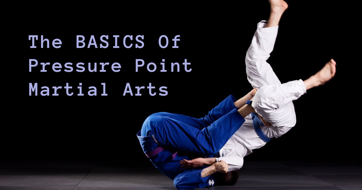 The BASICS Of Pressure Point Martial Arts