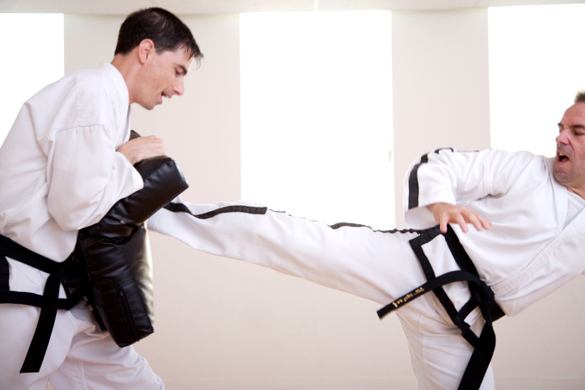 Martial arts fight
